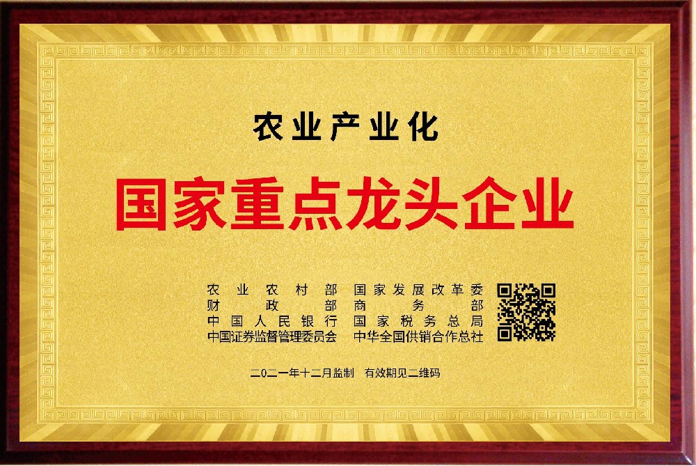 榮譽資質一